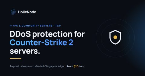 Counter-Strike 2 server DDoS protection