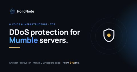 Mumble server DDoS protection