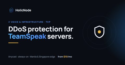 TeamSpeak server DDoS protection