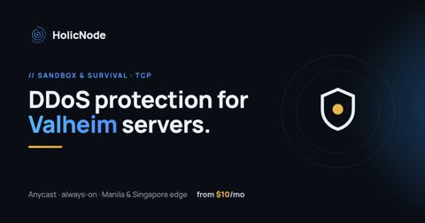Valheim server DDoS protection
